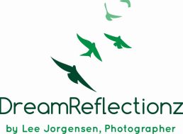 original-logos_2016_May_5625-573cb2ad43980